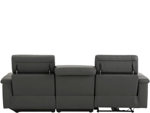 Trivietė sofa Loft Tanaro, pilka kaina ir informacija | Sofos | pigu.lt