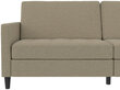 Dvivietė sofa-lova Dorel Home Presley, ruda цена и информация | Sofos | pigu.lt