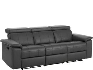 Trivietė sofa Loft Tanaro, pilka kaina ir informacija | Sofos | pigu.lt