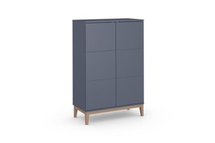 Высокий шкафчик с 2 дверцами из МДФ серого цвета цена и информация | Шкафчики в гостиную | pigu.lt