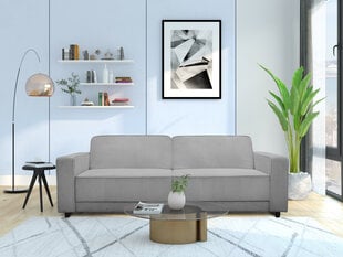 Dvivietė sofa-lova Dorel Home Allie, pilka kaina ir informacija | Sofos | pigu.lt