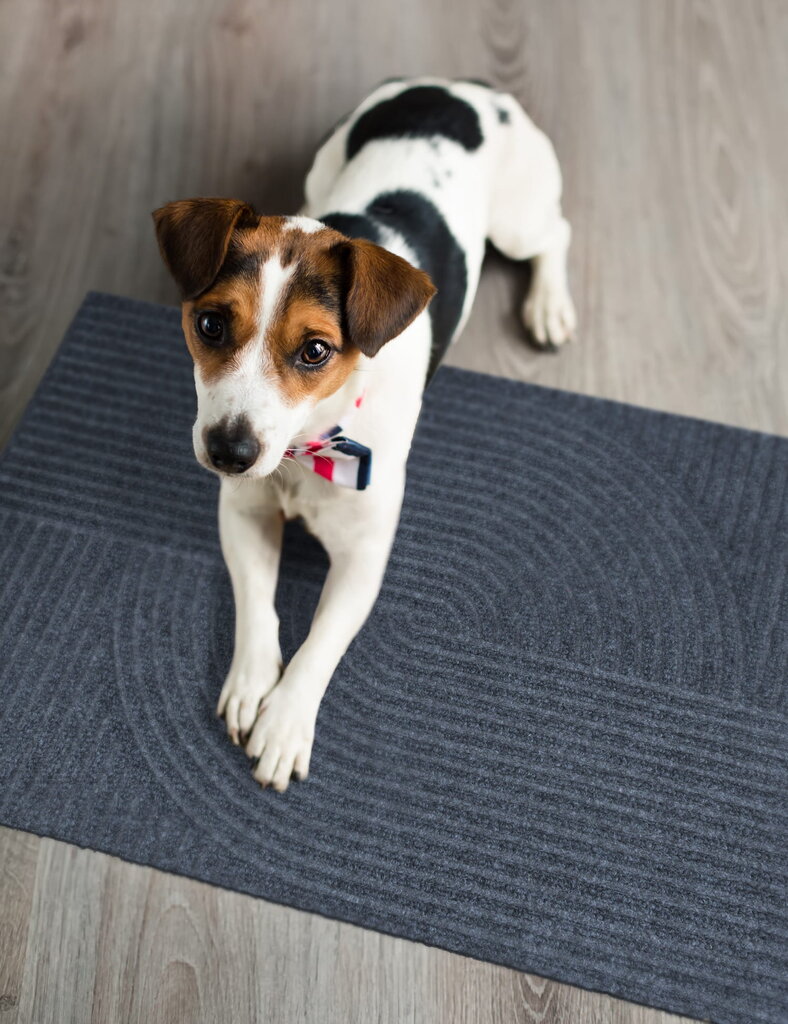 E-floor kilimėlis Tire Modern 60x90cm kaina ir informacija | Durų kilimėliai | pigu.lt