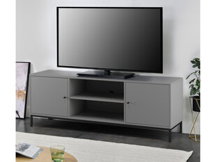 Подставка для ТВ с 2 дверцами и 2 открытыми отделениями Particle Board Grey цена и информация | Тумбы под телевизор | pigu.lt