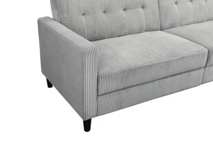 Dvivietė sofa-lova Dorel Home Hartford II, pilka kaina ir informacija | Sofos | pigu.lt