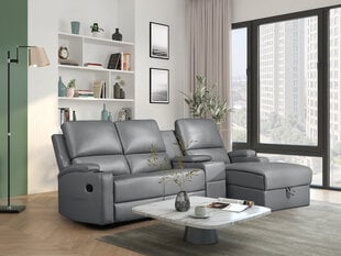 Trivietė sofa Loft Dallas, pilka kaina ir informacija | Sofos | pigu.lt