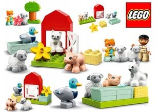 LEGO® Duplo konstruktorių rinkinys ir pliušinė pagalvė Katė цена и информация | Конструкторы и кубики | pigu.lt