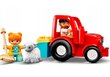 LEGO® Duplo konstruktorių rinkinys ir pliušinė pagalvė Katė kaina ir informacija | Konstruktoriai ir kaladėlės | pigu.lt