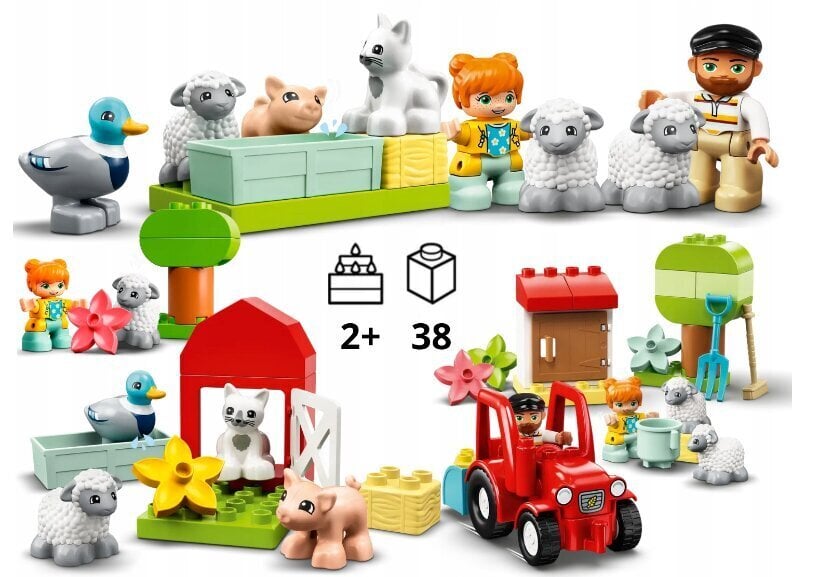 LEGO® Duplo konstruktorių rinkinys ir pliušinė pagalvė Katė kaina ir informacija | Konstruktoriai ir kaladėlės | pigu.lt