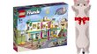 41731 LEGO Friends Heartlake tarptautinė mokykla ir pliušinė pagalvė Katė kaina ir informacija | Konstruktoriai ir kaladėlės | pigu.lt