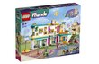 41731 LEGO Friends Heartlake tarptautinė mokykla ir pliušinė pagalvė Katė kaina ir informacija | Konstruktoriai ir kaladėlės | pigu.lt