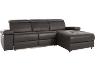 Trivietė sofa Loft Rayland, ruda kaina ir informacija | Sofos | pigu.lt