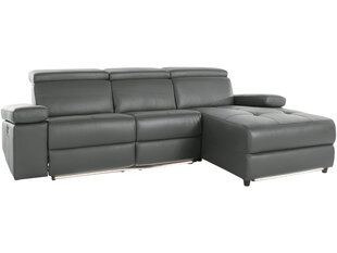 Trivietė sofa Loft Rayland, pilka kaina ir informacija | Sofos | pigu.lt