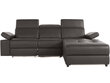 Trivietė sofa Loft Rayland, ruda цена и информация | Sofos | pigu.lt