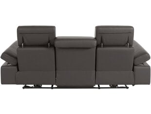 Trivietė sofa Loft Rayland, ruda kaina ir informacija | Sofos | pigu.lt