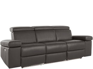 Trivietė sofa Loft Rayland, ruda kaina ir informacija | Sofos, sofos-lovos | pigu.lt