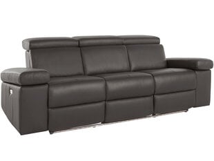 Trivietė sofa Loft Rayland, ruda kaina ir informacija | Sofos | pigu.lt