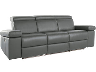 Trivietė sofa Loft Rayland, pilka kaina ir informacija | Sofos | pigu.lt