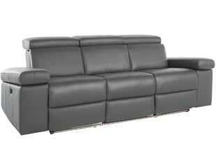 Trivietė sofa Loft Rayland, pilka kaina ir informacija | Sofos | pigu.lt