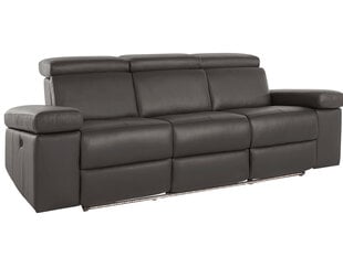 Trivietė sofa Loft Rayland, ruda kaina ir informacija | Sofos, sofos-lovos | pigu.lt