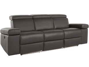 Trivietė sofa Loft Rayland, ruda kaina ir informacija | Sofos | pigu.lt