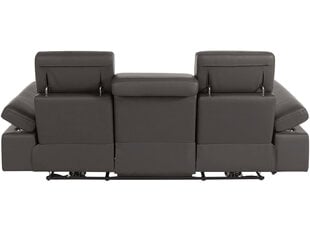 Trivietė sofa Loft Rayland, ruda kaina ir informacija | Sofos | pigu.lt