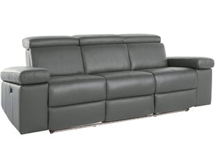 Trivietė sofa Loft Rayland, pilka kaina ir informacija | Sofos | pigu.lt