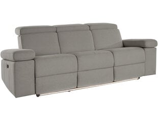 Trivietė sofa Loft Rayland, pilka kaina ir informacija | Sofos | pigu.lt