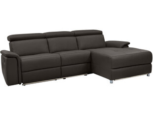 Trivietė sofa Loft Pareli, ruda kaina ir informacija | Sofos | pigu.lt