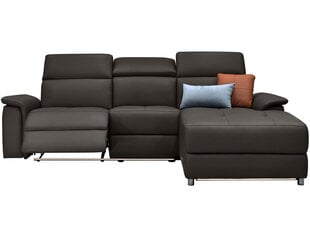 Trivietė sofa Loft Pareli, ruda kaina ir informacija | Sofos | pigu.lt