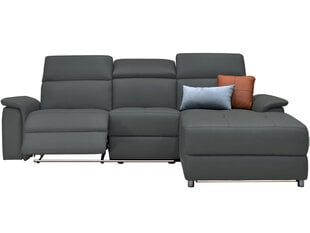 Trivietė sofa Loft Pareli, pilka kaina ir informacija | Sofos | pigu.lt