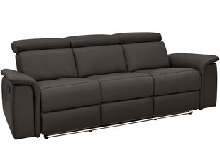 Trivietė sofa Loft Pareli, ruda kaina ir informacija | Sofos | pigu.lt