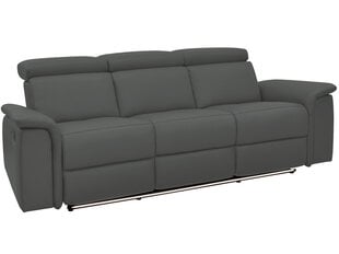 Trivietė sofa Loft Pareli, pilka kaina ir informacija | Sofos | pigu.lt