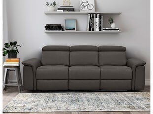 Trivietė sofa Loft Pareli, ruda kaina ir informacija | Sofos | pigu.lt