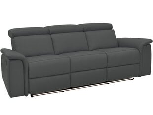 Trivietė sofa Loft Pareli, pilka kaina ir informacija | Sofos | pigu.lt