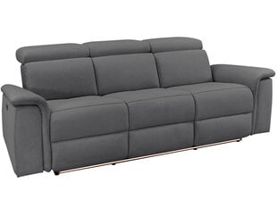 Trivietė sofa Loft Pareli, pilka kaina ir informacija | Sofos | pigu.lt