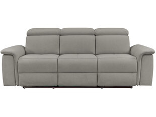 Trivietė sofa Loft Pareli, pilka kaina ir informacija | Sofos | pigu.lt