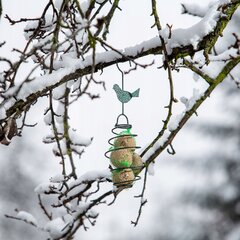 Pakabinamas lesyklėlė paukščių lesalui 32cm kaina ir informacija | Inkilai, lesyklėlės, narvai | pigu.lt