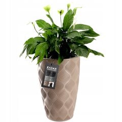 Gėlių vazonas su įdėklu smėlio spalvos sodo gėlių vazonas 48,5 cm kaina ir informacija | Loveliai | pigu.lt