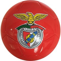 Futbolo kamuolys Benfica, 5 dydis kaina ir informacija | Futbolo kamuoliai | pigu.lt