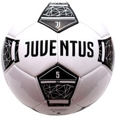 Futbolo kamuolys Juventus, 5 dydis kaina ir informacija | Futbolo kamuoliai | pigu.lt