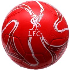 Futbolo kamuolys FC Liverpool, 5 dydis kaina ir informacija | Futbolo kamuoliai | pigu.lt