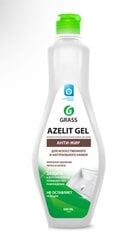 Azelit akmens valiklis, 500 ml kaina ir informacija | Valikliai | pigu.lt