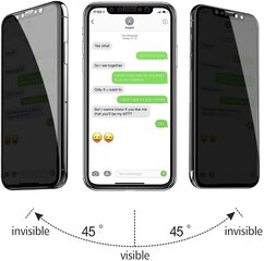 Закаленное защитное стекло для Apple Iphone 13 mini цена и информация | Защитные пленки для телефонов | pigu.lt