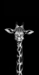 Žirafa juodame stikliniame dėkle iPhone 8 Plus kaina ir informacija | Telefono dėklai | pigu.lt
