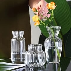 '1шт стеклянная ваза прозрачная гидропонная полосатая ваза' цена и информация | Вазы | pigu.lt
