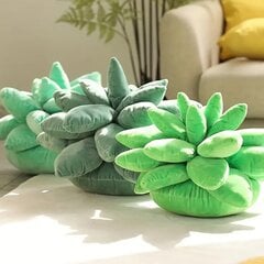 '25 cm/9 84 colio kawaii succulent plant pliušinės pagalvės kėdės pagalvėlė – puiki gimtadienio dovana kūrybingiems protams!' kaina ir informacija | Dekoratyvinės pagalvėlės ir užvalkalai | pigu.lt