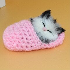 'Kawaii моделирование спящих котят каваи плюшевая кукла-кошка игрушка для детей подарок на день рождения для декора на Хэллоуин Рождественский подарок на День благодарения' цена и информация | Мягкие игрушки | pigu.lt