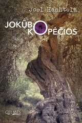 Jokūbo kopėčios kaina ir informacija | Romanai | pigu.lt