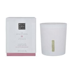 Rituals Sakura Scented Candle kvapioji žvakė, 290 g kaina ir informacija | Žvakės, Žvakidės | pigu.lt