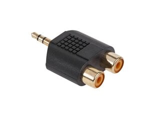 LP 3.5mm/2xrca, 1 vnt kaina ir informacija | Kabeliai ir laidai | pigu.lt